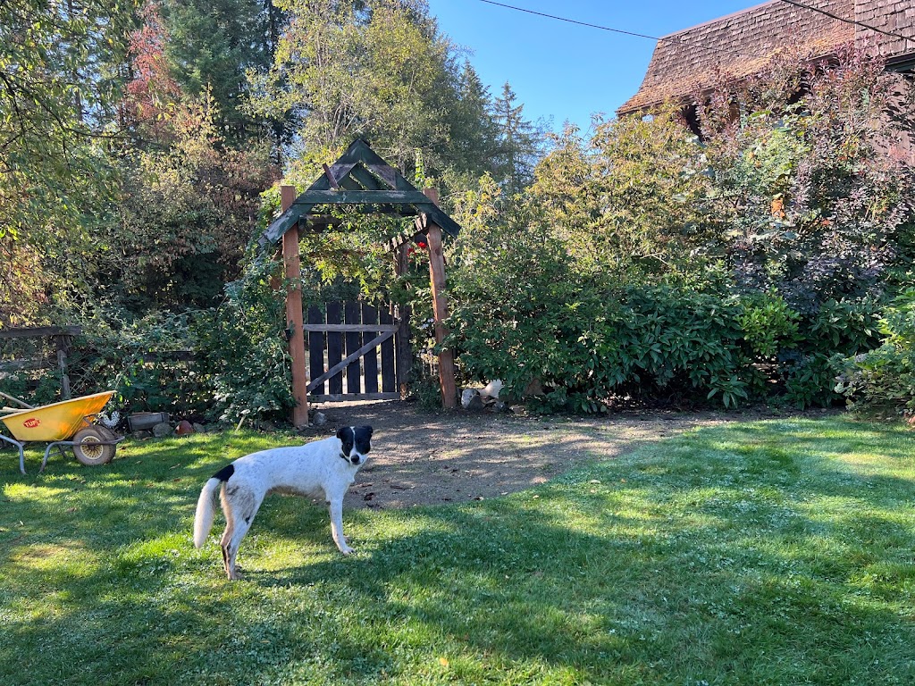 Coleman Meadows Farm | Alberni-Clayoquot D, BC V9Y 8Y9, Canada | Phone: (250) 724-0876