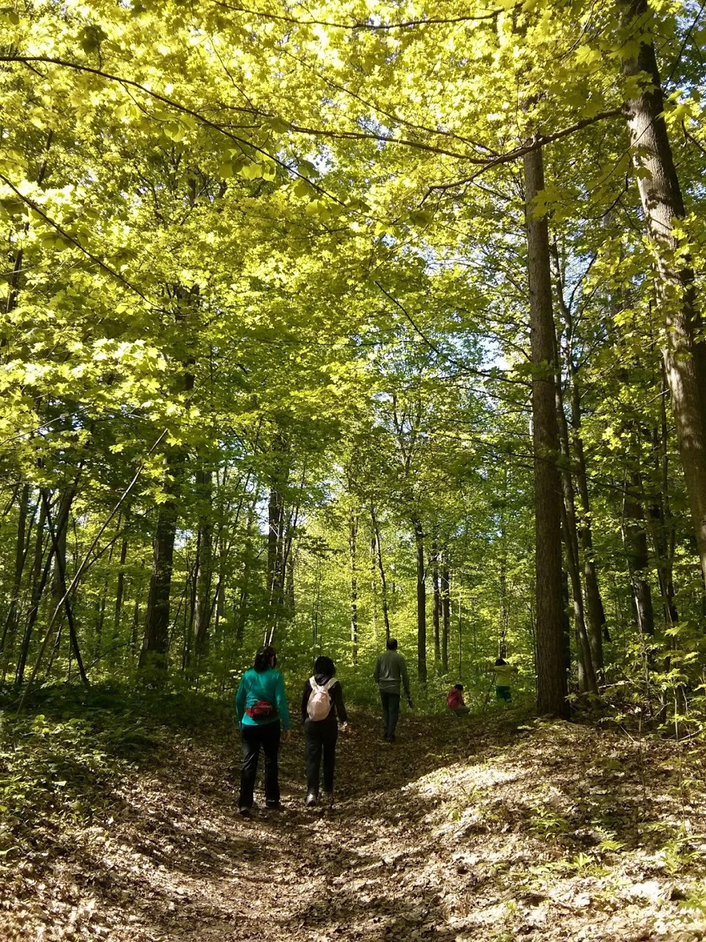 Patterson Tract | 15461 McCowan Rd, Whitchurch-Stouffville, ON L4A 0B1, Canada