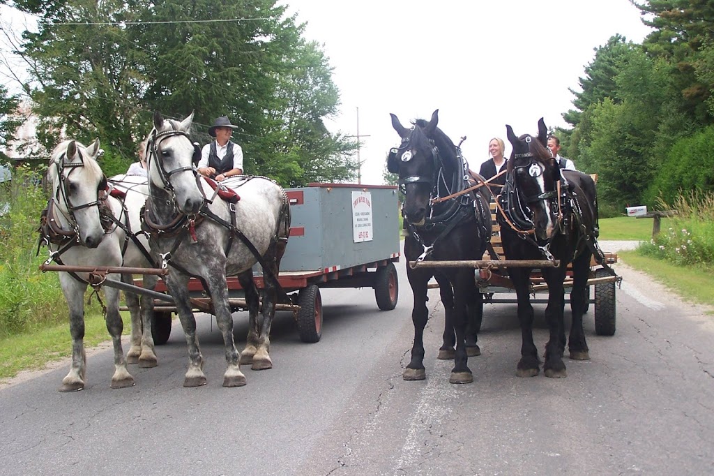 Twin Maples Farm | 1227 Base Line Rd, Severn Bridge, ON P0E 1N0, Canada | Phone: (705) 689-0182