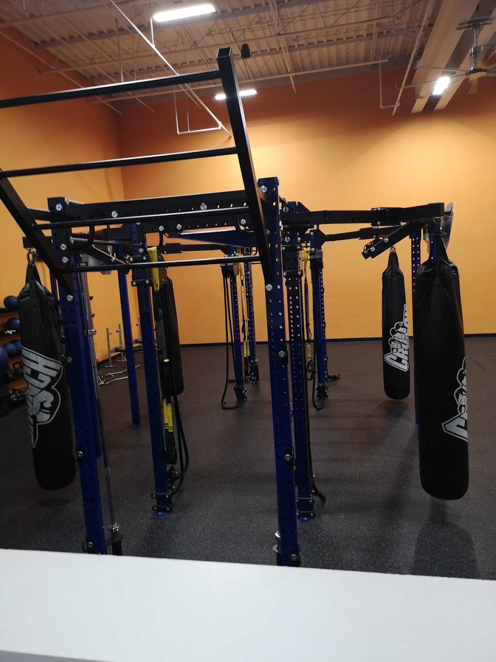 Crunch Fitness - London | 1251 Huron St, London, ON N5Y 4V1, Canada | Phone: (226) 289-1982
