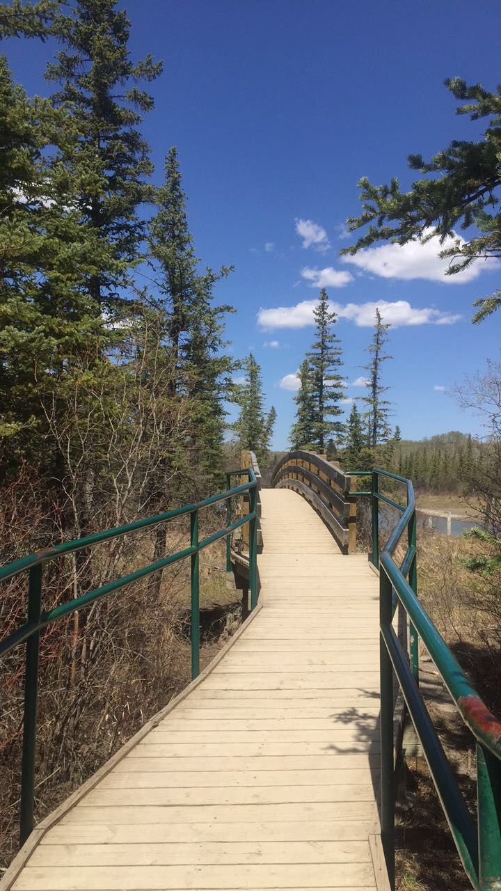 Weaselhead Flats | 37 St SW & 66 Avenue Southwest, Calgary, AB, Canada | Phone: (403) 268-2489