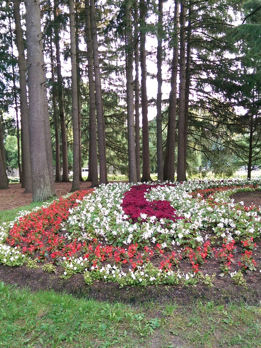 Confederation Park | Stratford, ON N5A 6S2, Canada | Phone: (519) 271-0250
