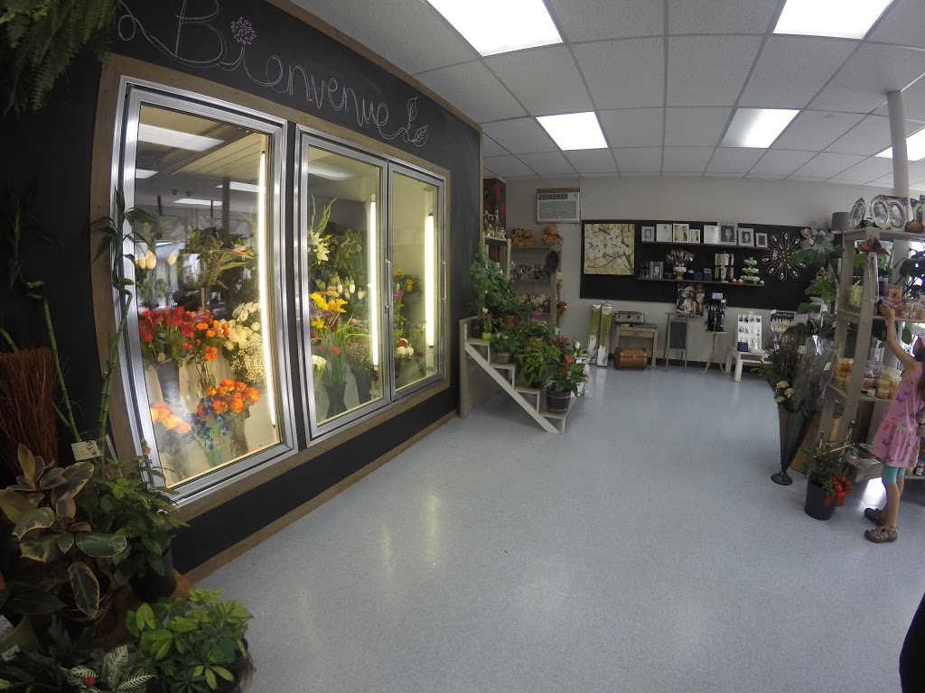 Jardin dAnick | 15166 Rue de Saint Augustin, Mirabel, QC J7N 1X2, Canada | Phone: (450) 475-8002