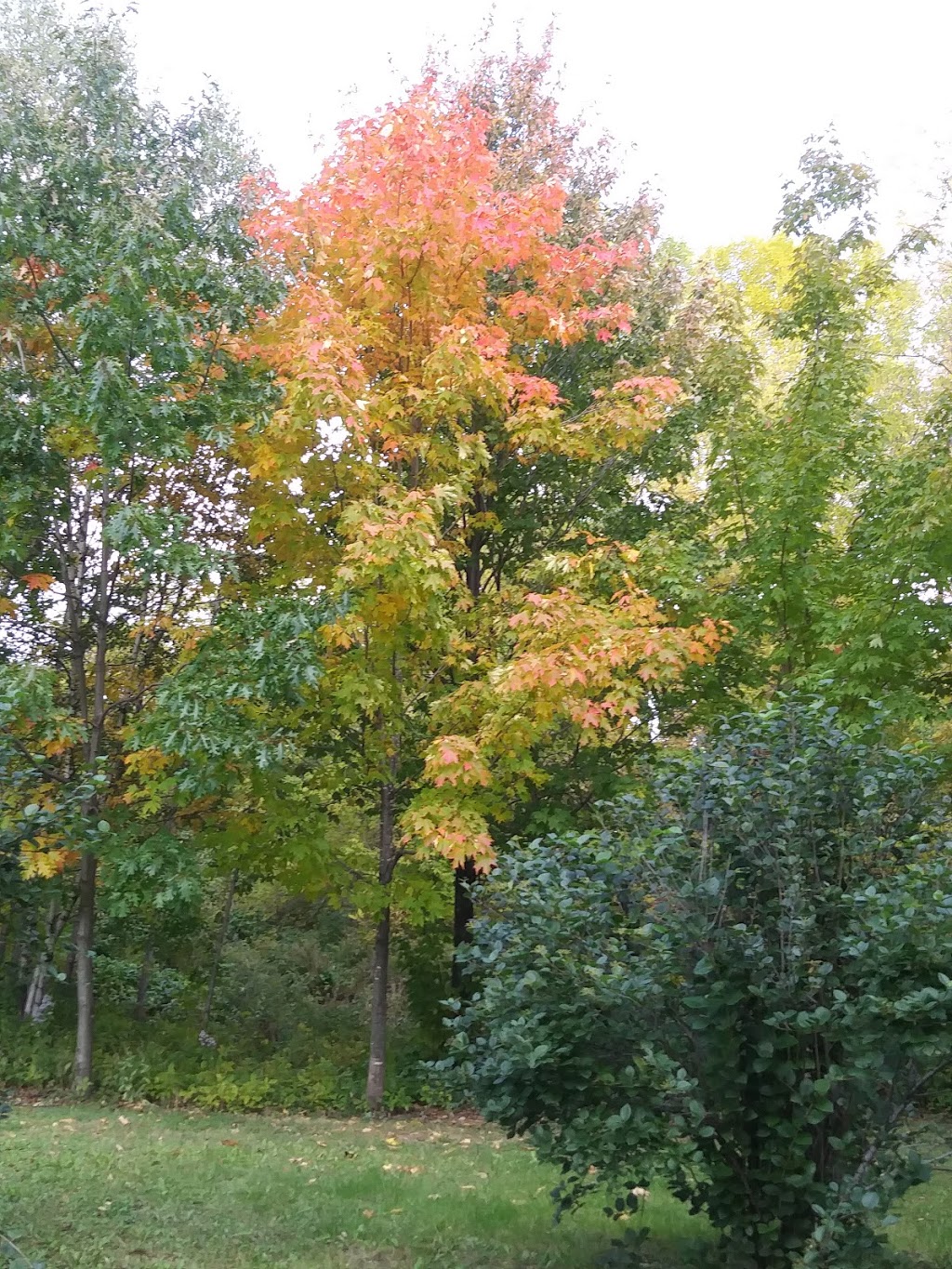 Parc Saint-Nicolas | Montmagny, QC G5V 2B5, Canada | Phone: (418) 248-0937
