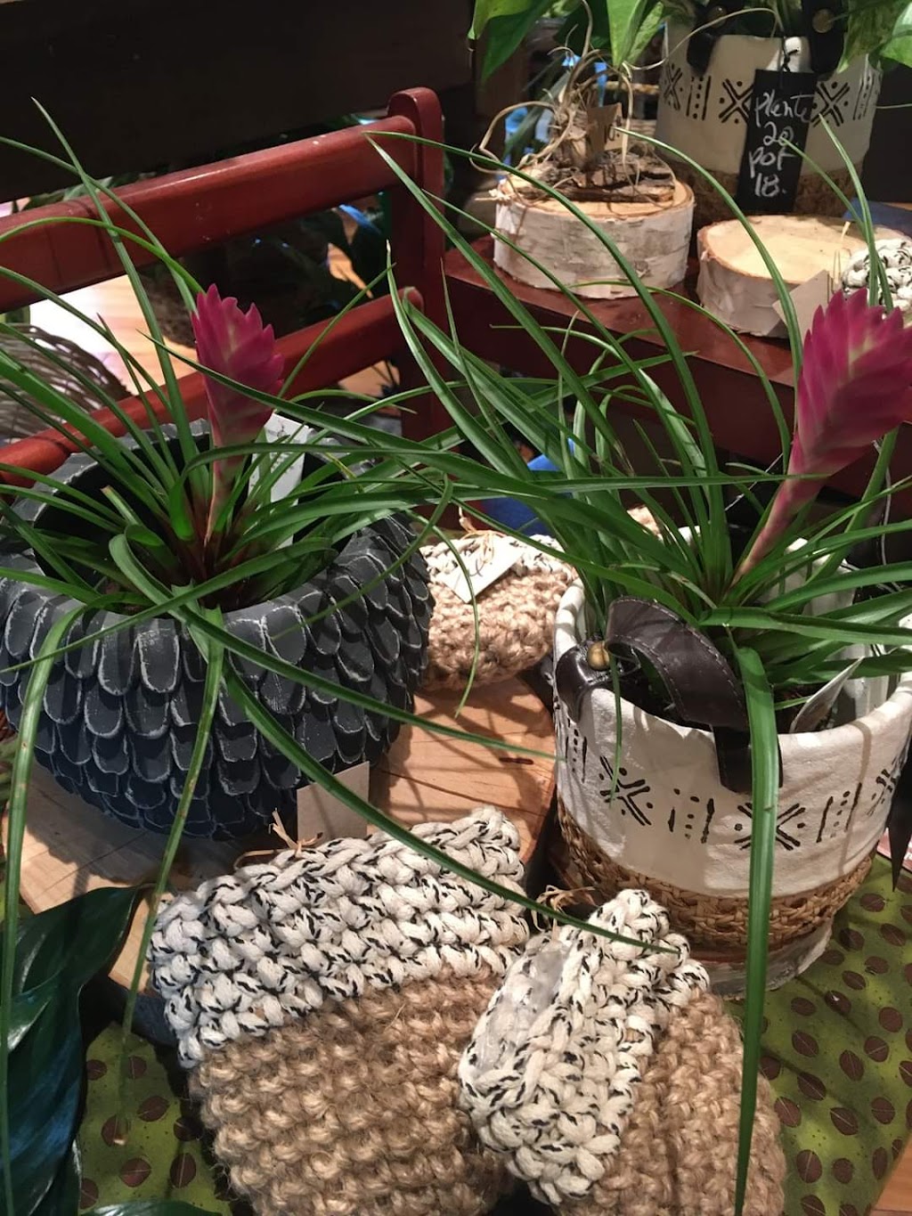 Fleuriste Shawinigan-Sud | 1605 105e Ave, Shawinigan-Sud, QC G9P 1M8, Canada | Phone: (819) 537-8989