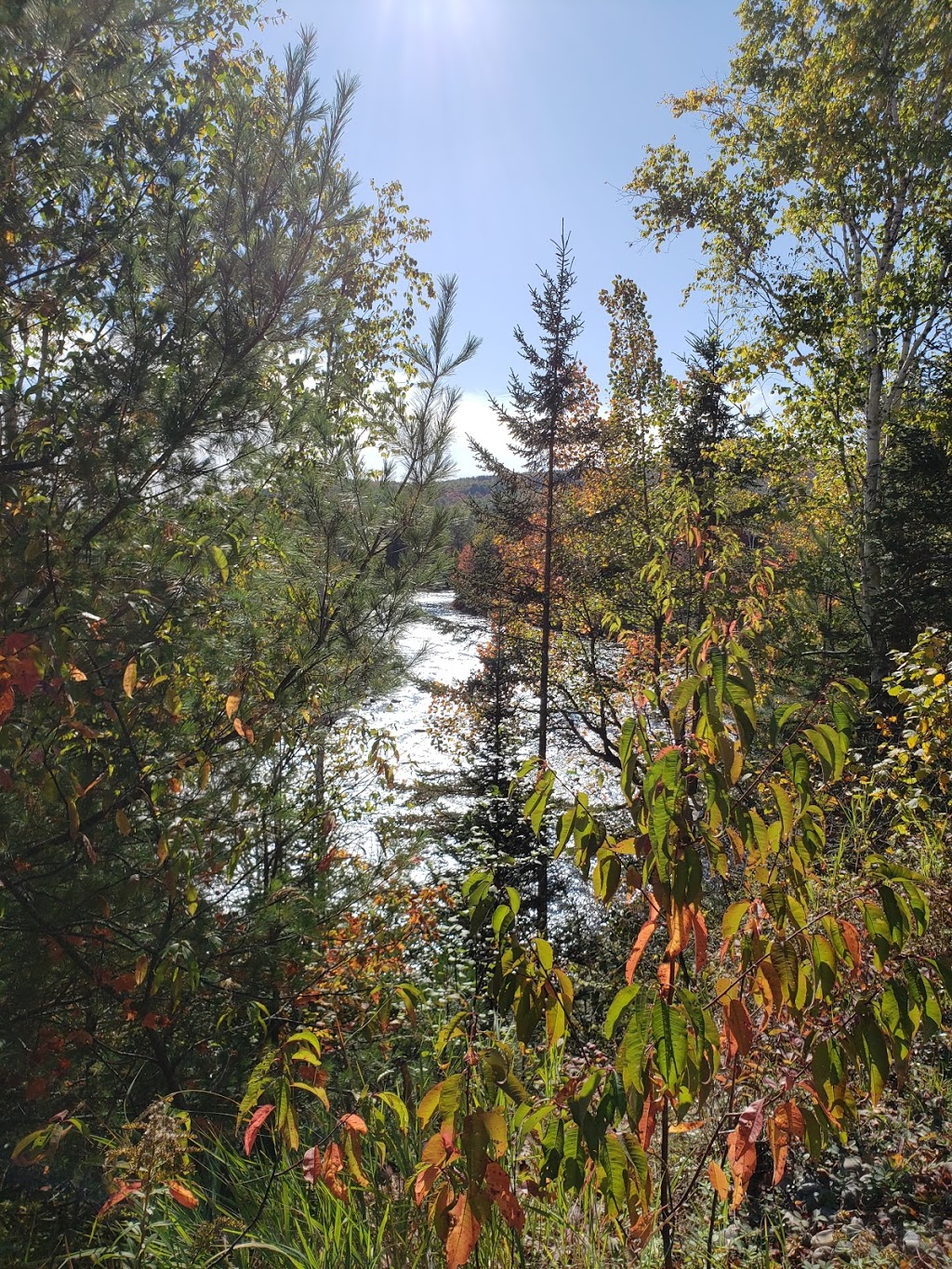 Ouareau Forest - Great Pier sector | Avenue du Castor, Chertsey, QC J0K 3K0, Canada | Phone: (450) 898-1457