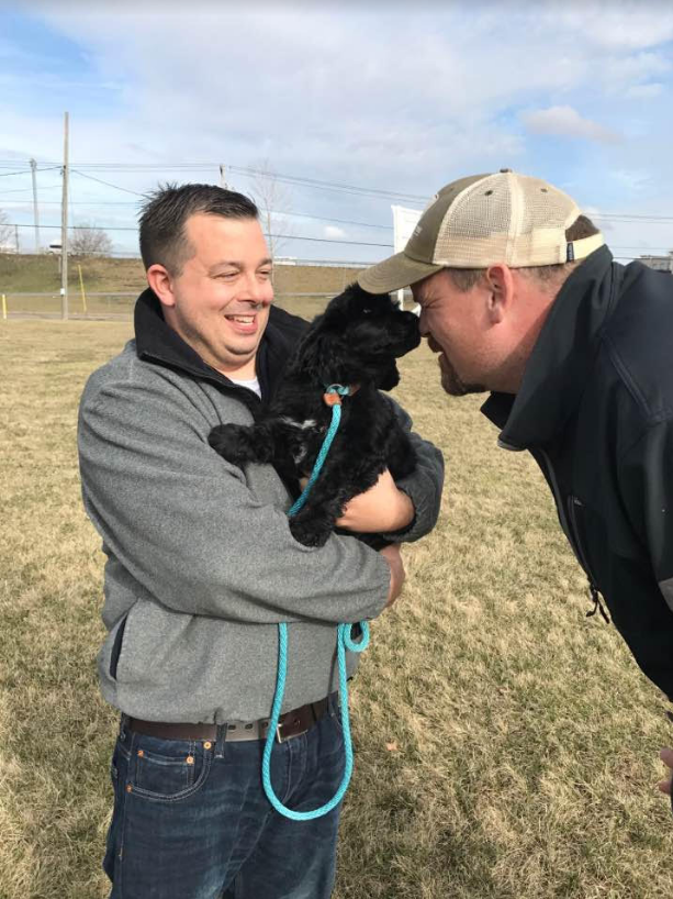 Claircreek Portuguese Water Dogs - Board and Train and other services | 7907 16 Line, Arthur, ON N0G 1A0, Canada | Phone: (519) 241-5353