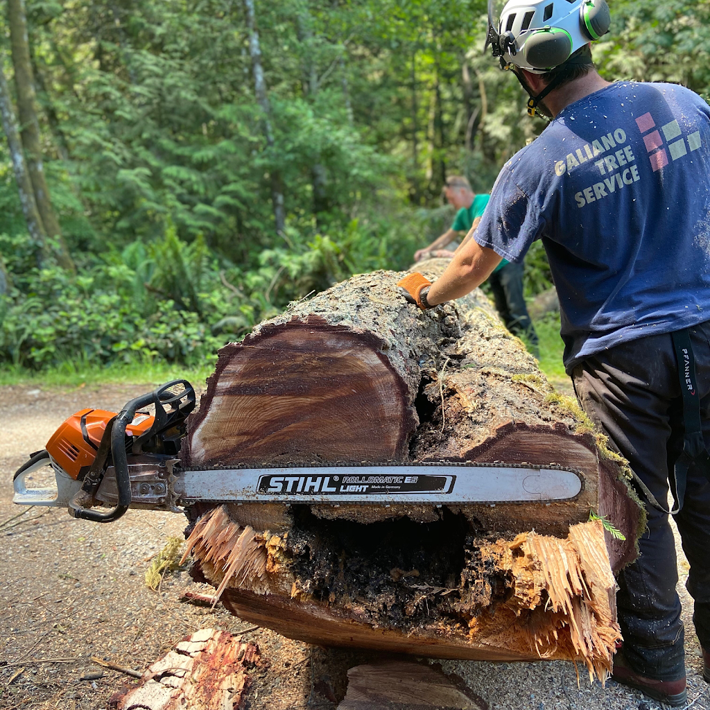Galiano Tree Service | 398 Morgan Rd, Galiano Island, BC V0N 1P0, Canada | Phone: (250) 539-3600