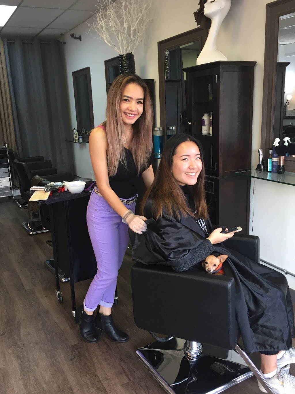 Ice Studio | 5203 Victoria Dr, Vancouver, BC V5P 3V4, Canada | Phone: (604) 327-9900