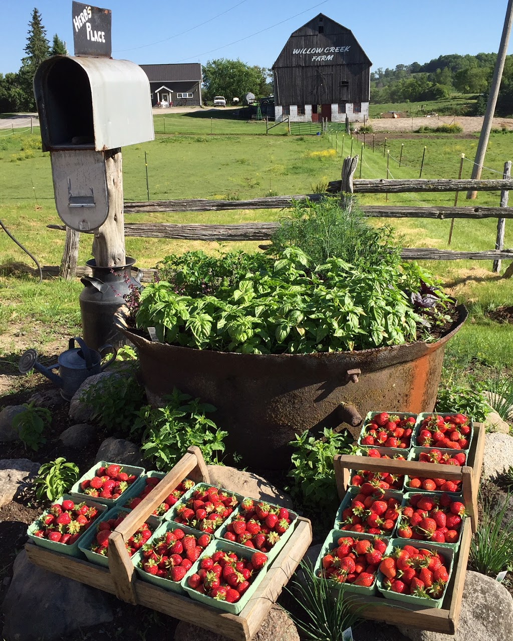 Willow Creek Farms | 1442 Frankford Rd, Frankford, ON K0K 2C0, Canada | Phone: (613) 967-0882