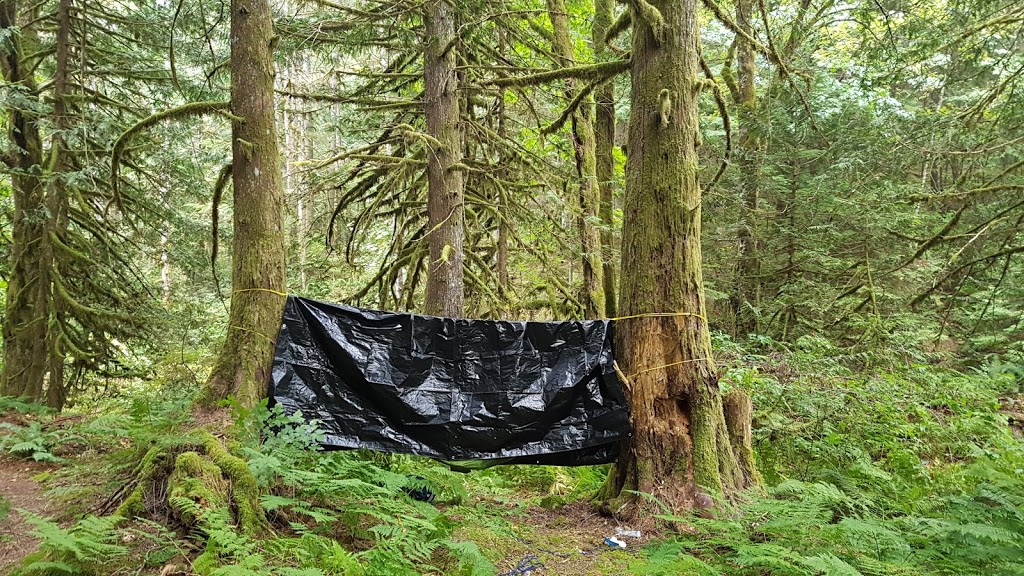 Weaver Lake Campground | Unnamed Rd, 1A1, Agassiz, BC V0M 1A1, Canada