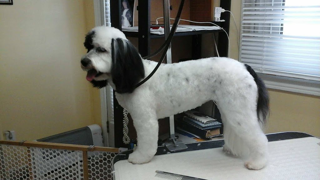 Candi Cares Professional Dog Grooming | 477 OConnell Rd, Peterborough, ON K9J 4E1, Canada | Phone: (705) 748-6063