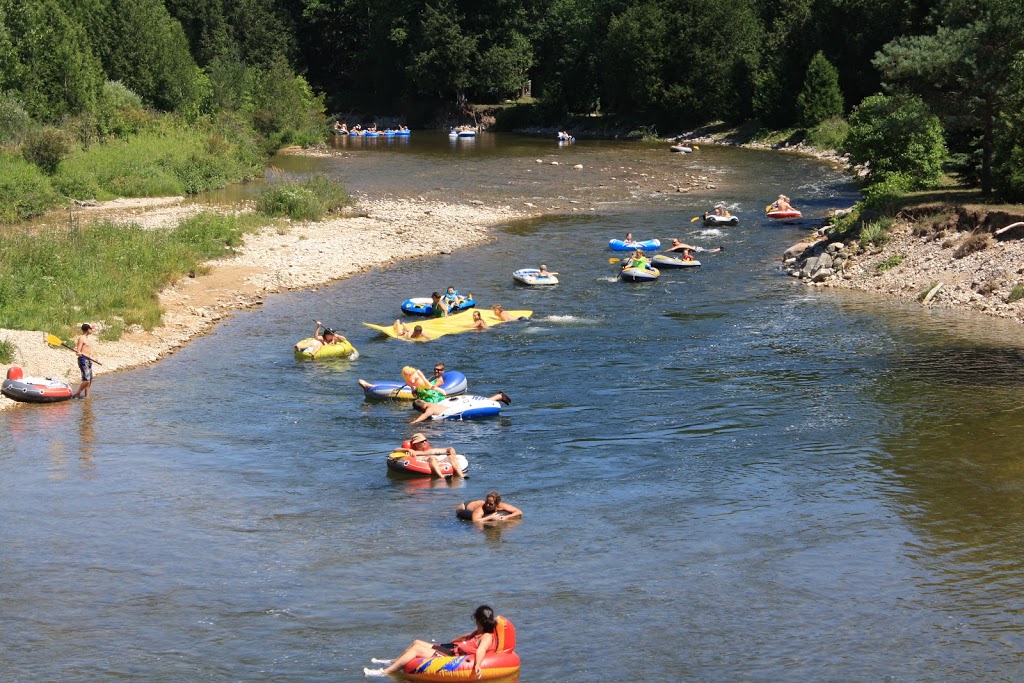 Saugeen Cedars Family Campground | 401563, Grey County Rd 4, Hanover, ON N4N 3B8, Canada | Phone: (519) 364-2069