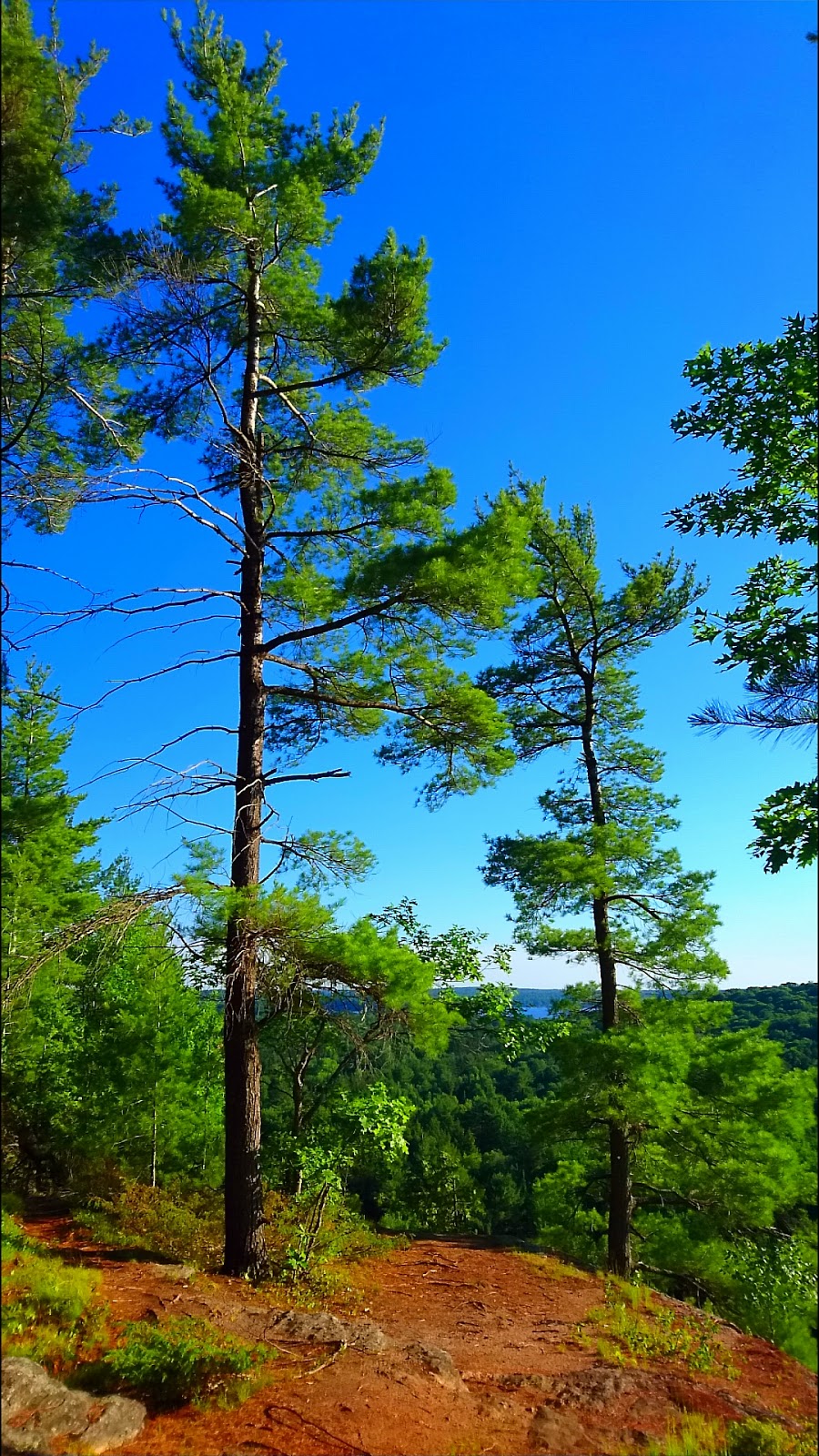 Circuit of Five Viewpoints Trailhead | 2029 Little Hawk Lake Rd, Algonquin Highlands, ON K0M 1J2, Canada | Phone: (705) 766-9033
