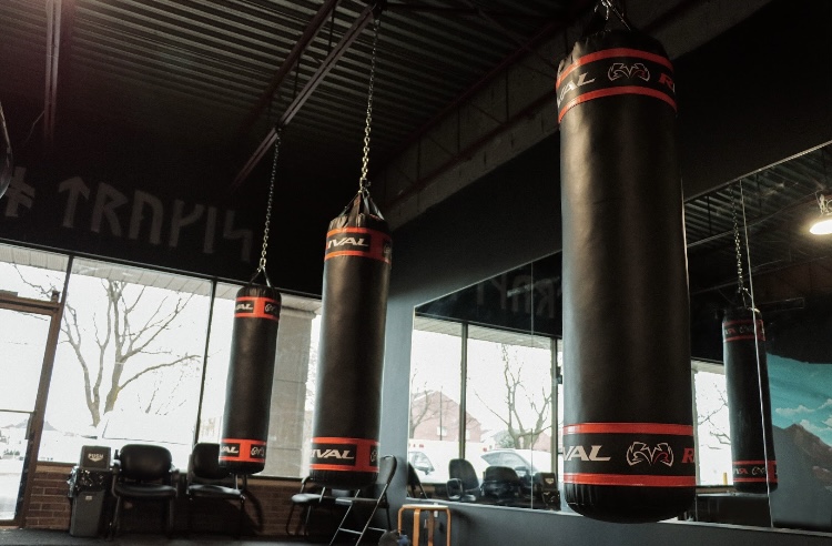 Club de Boxe Viking | 8920 Boul Langelier, Montréal, QC H1P 3C8, Canada | Phone: (514) 323-5911
