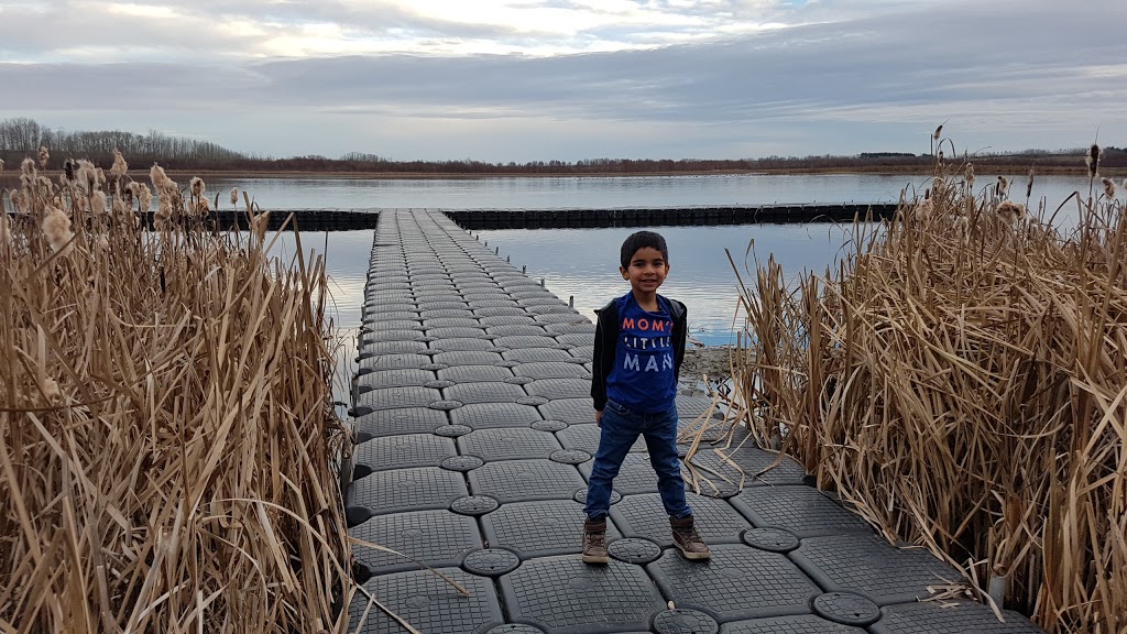 Hasse Lake Regional Park | Hasse Rd, Carvel, AB T0E 0H0, Canada