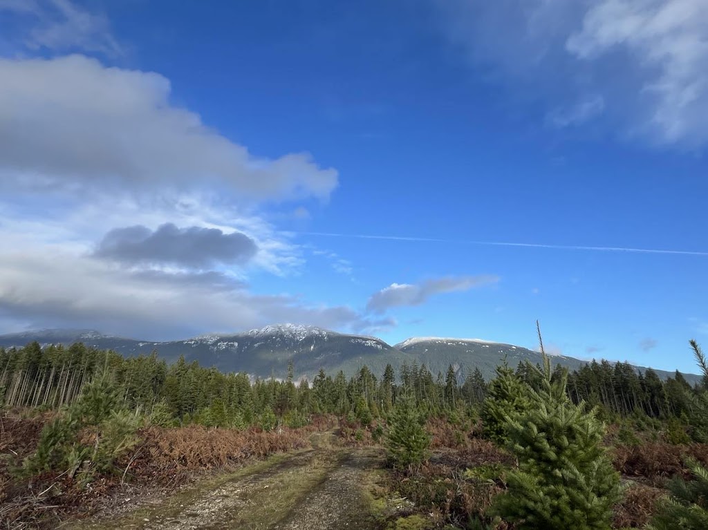 Toms Trees | Airport Rd, Port Alberni, BC V9Y 8Y9, Canada | Phone: (250) 720-6214