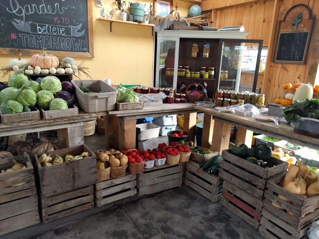 Willow Creek Farms | 1442 Frankford Rd, Frankford, ON K0K 2C0, Canada | Phone: (613) 967-0882