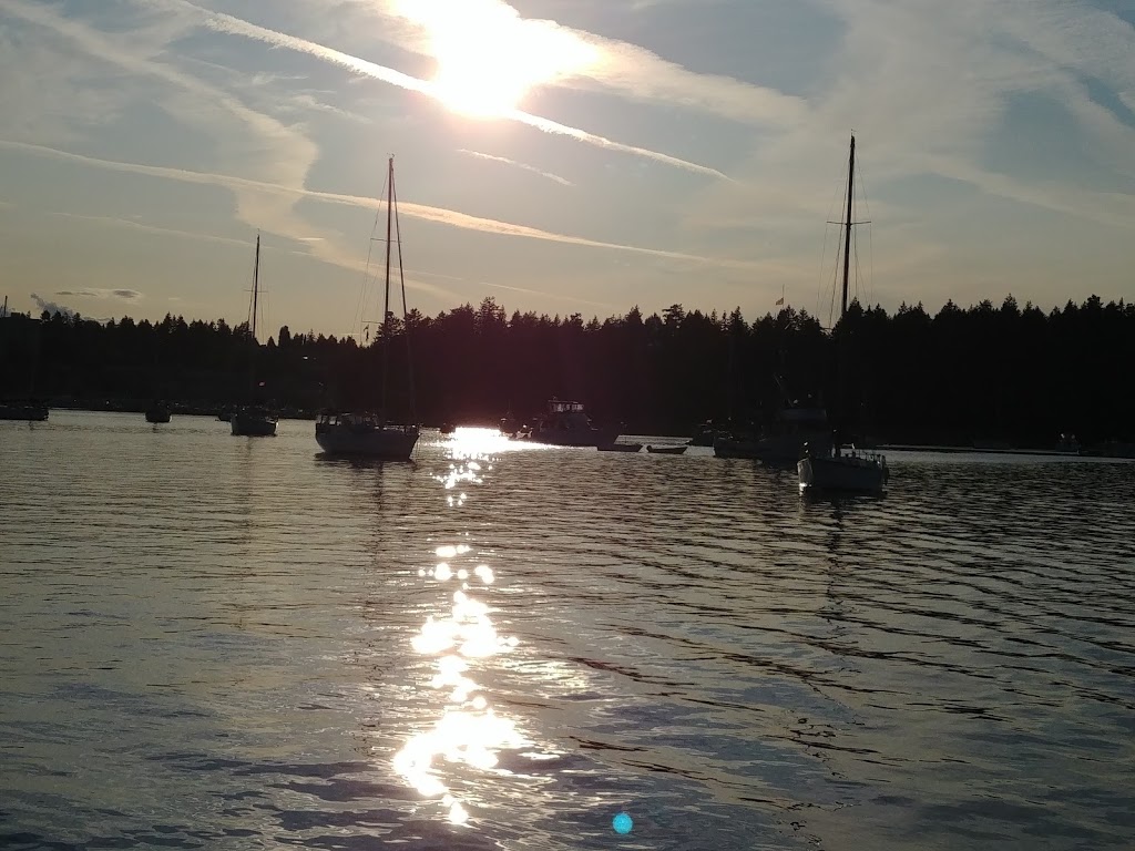 Island Marine Adventures | 1000 Stewart Ave, Nanaimo, BC V9S 4C9, Canada | Phone: (250) 714-5303