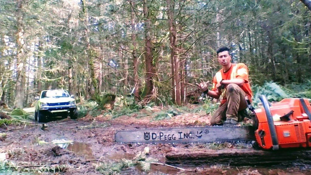 D Pegg Industries Ltd. | 88 Pilkey Point Rd, Thetis Island, BC V0R 2Y0, Canada | Phone: (250) 252-1312