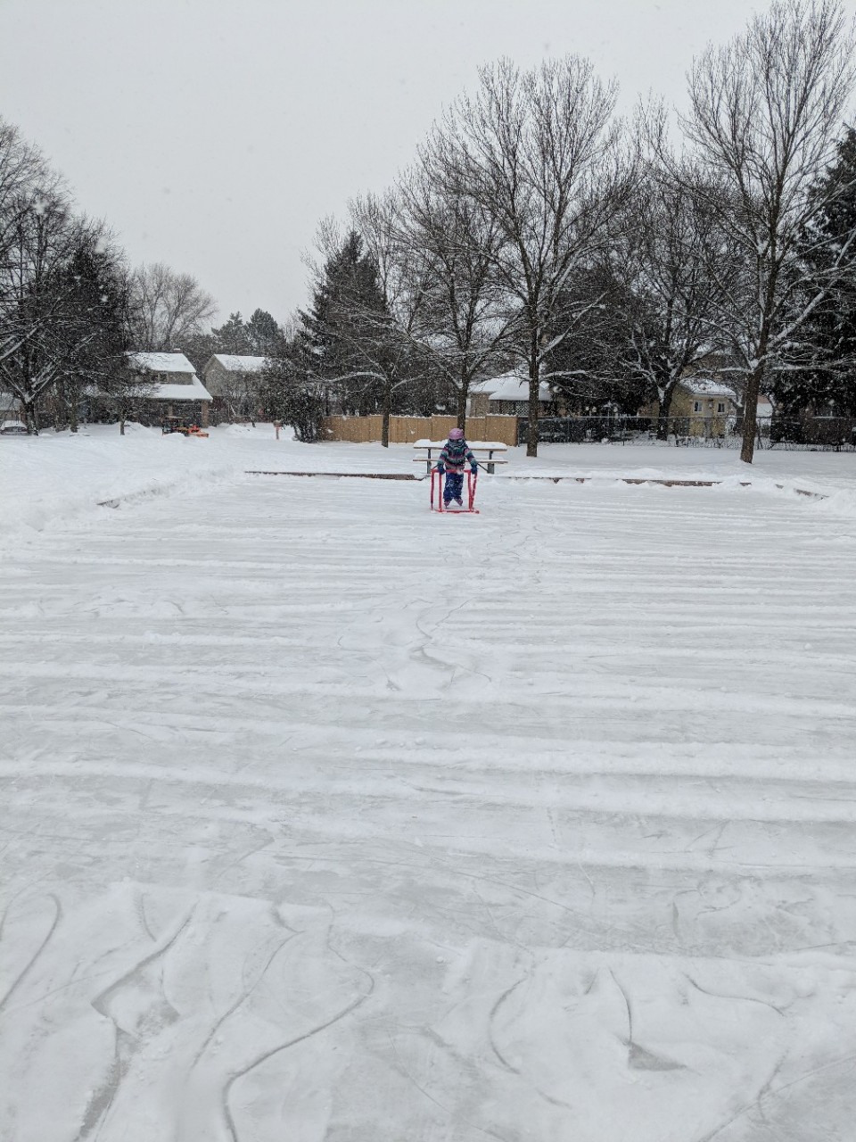 Roselea Park | 75 Mayfield Ave, Waterloo, ON N2J 3R9, Canada
