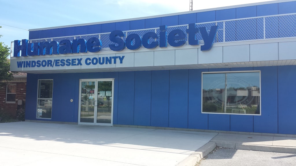 Windsor/Essex County Humane Society | 1375 Provincial Rd, Windsor, ON N8W 5V8, Canada | Phone: (519) 966-5751