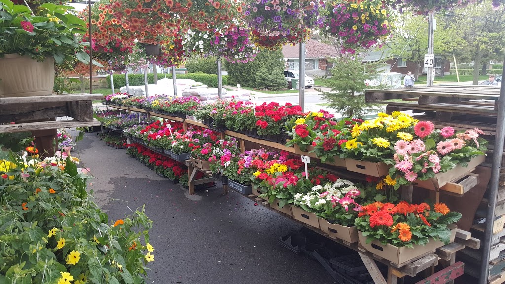 Lory Fleurs | 485 Chemin Bord-du-Lac, Dorval, QC H9S 2A9, Canada | Phone: (514) 804-8848