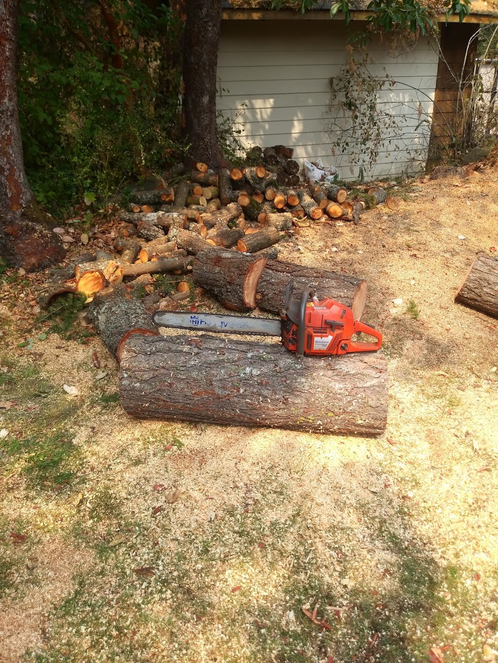 JJB Yard Maintenance | 6796 Beaton Rd, Sooke, BC V9Z 0M2, Canada | Phone: (778) 922-1608