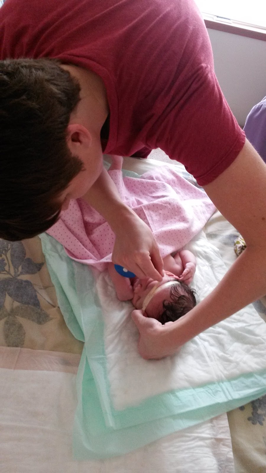 Blue Water Midwifery, Heather Lemanski CPM | 9120 Green Rd, Goodells, MI 48027, USA | Phone: (586) 569-9332