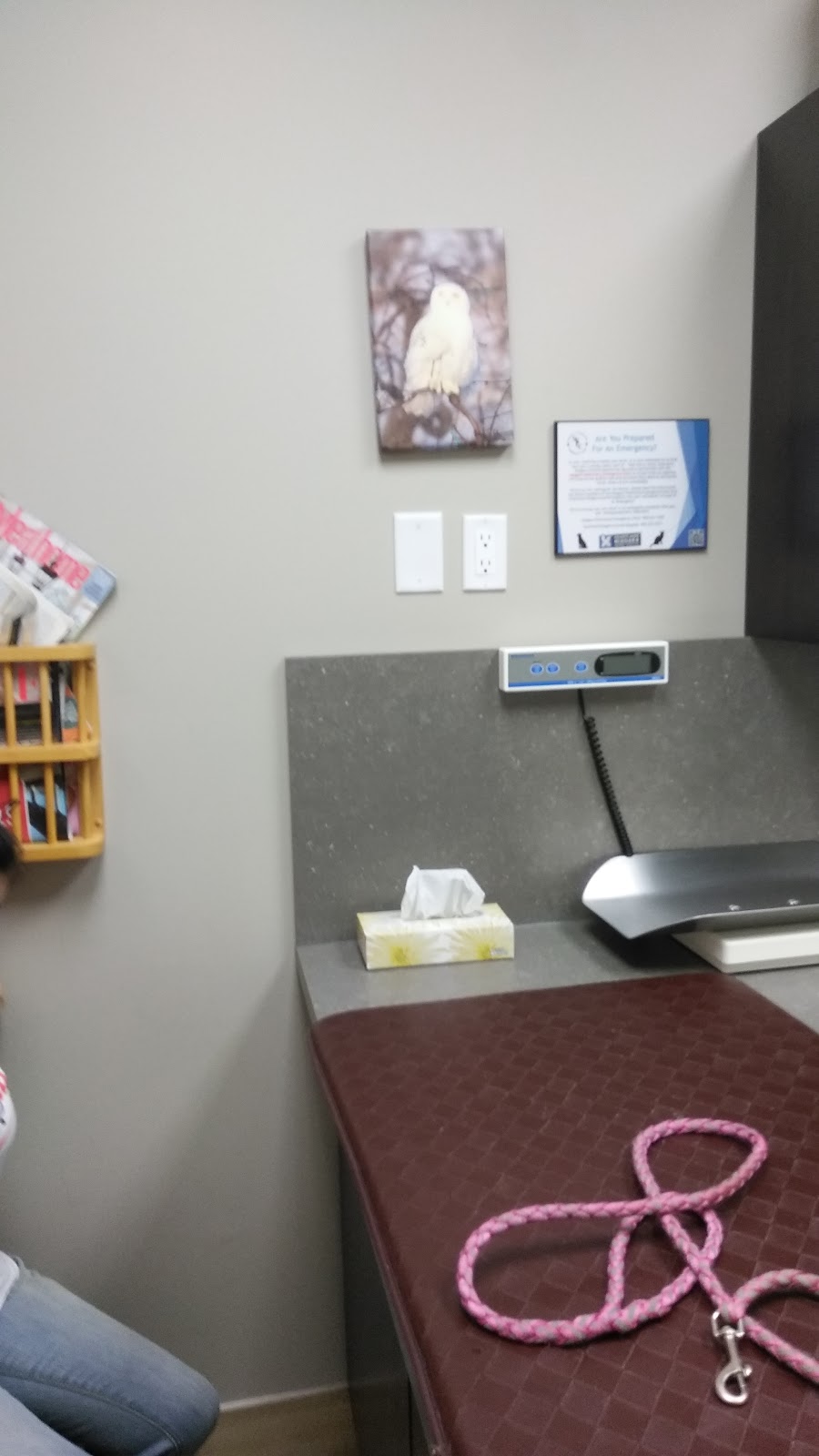 Heartland Niagara Animal Hospital | 7885 McLeod Rd, Niagara Falls, ON L2H 2Y6, Canada | Phone: (905) 357-6777