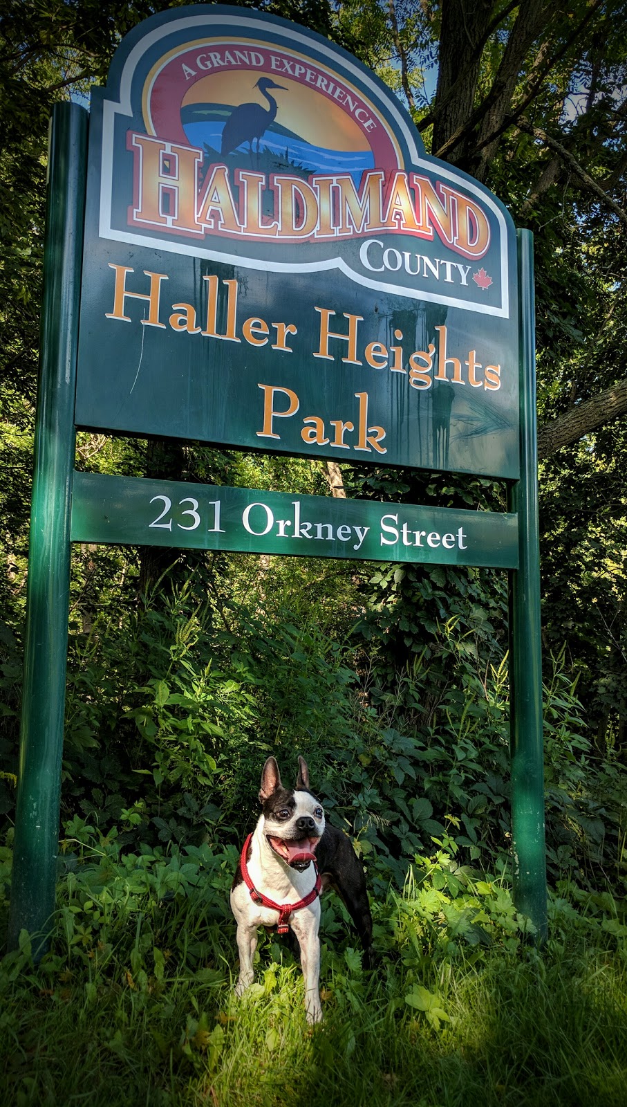 Haller Heights Park | Caledonia, ON N3W 1E2, Canada