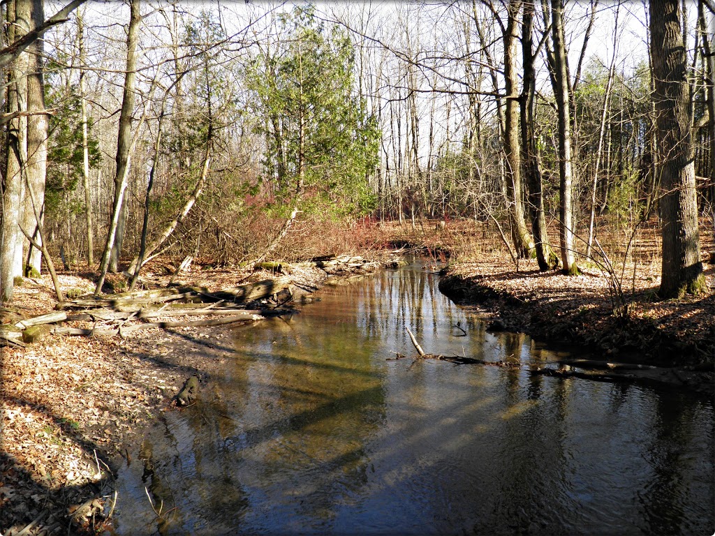 Laurel Creek Nature Centre | 525 Beaver Creek Rd, Waterloo, ON N2V 2L3, Canada | Phone: (519) 885-1368