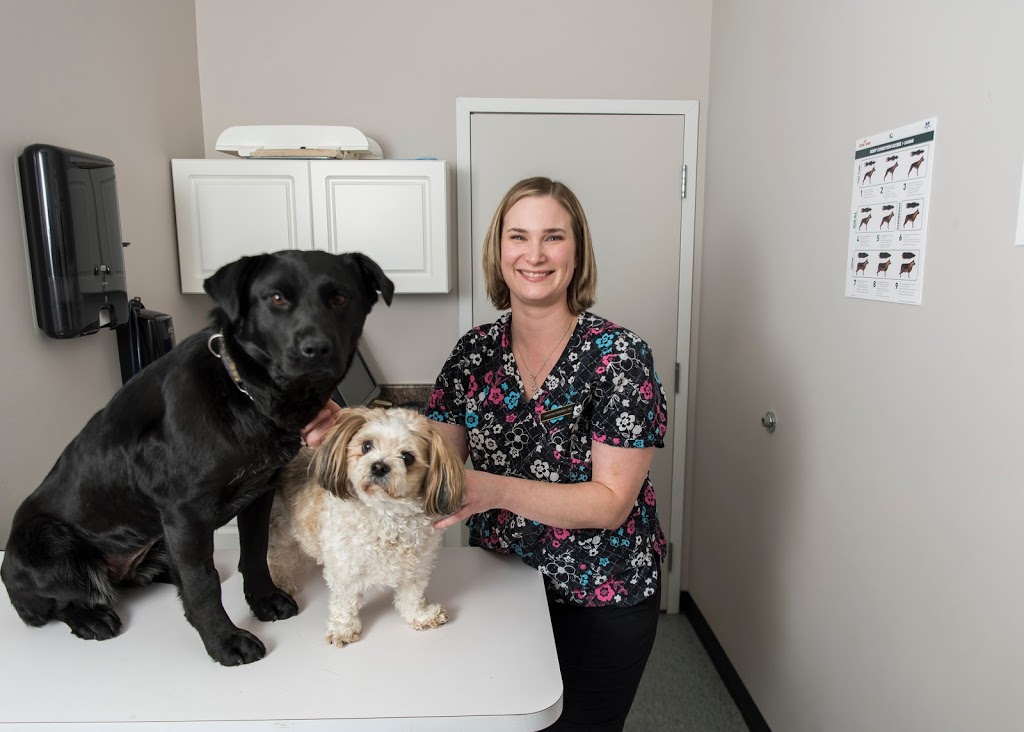 Highview Animal Clinic Ltd | 1104 18 St SE, High River, AB T1V 2A6, Canada | Phone: (403) 652-1300