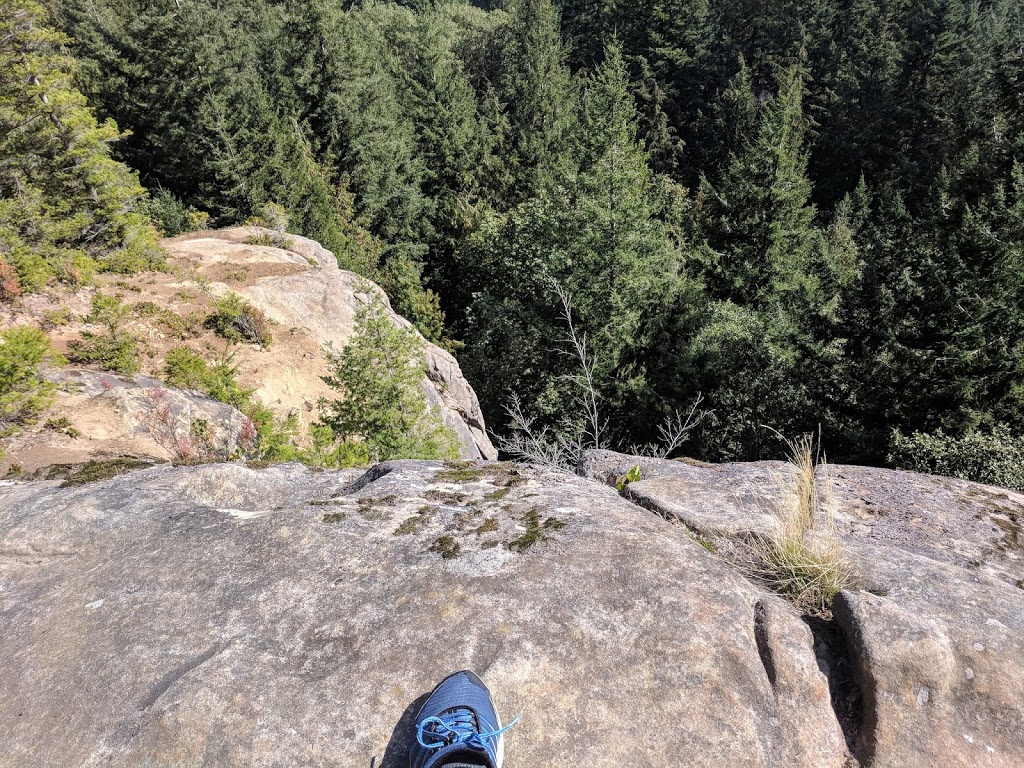 Raptor Ridge Overlook | Raptor Ridge Trail, Bellingham, WA 98229, USA