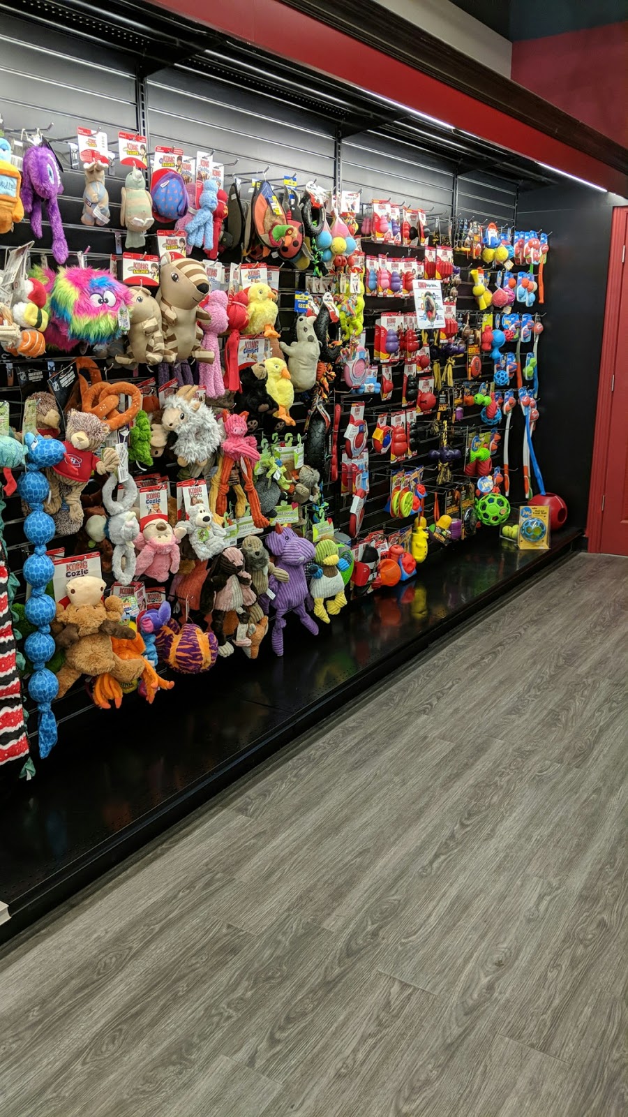Global Pet Foods | Grange, 19 Victoria Rd N, Guelph, ON N1E 5G6, Canada | Phone: (519) 822-6922