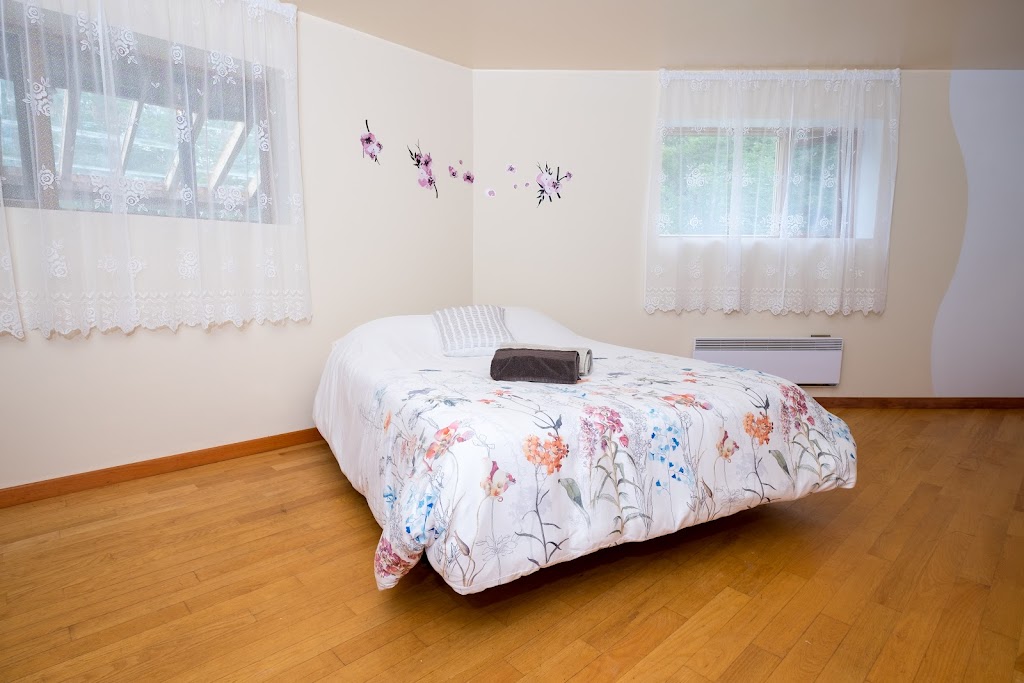 LUnique de Charlevoix | 103 Chemin St Paul, La Malbaie, QC G5A 2G7, Canada | Phone: (450) 663-1898