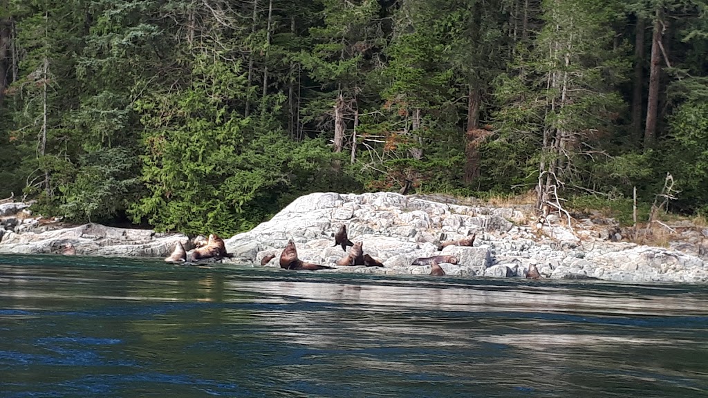 Sonora Resort - Sea Lion Pointe Lodge | Comox-Strathcona J, BC V0P 1V0, Canada | Phone: (604) 233-0460