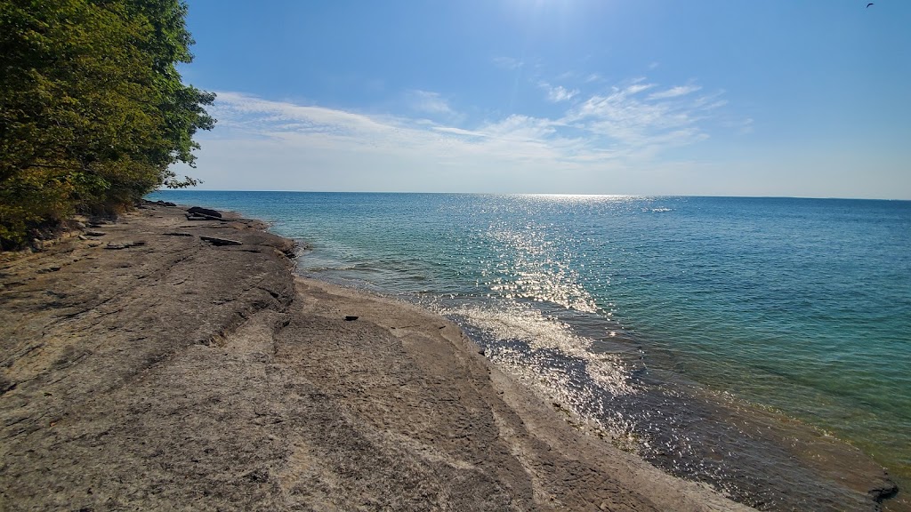 Lakeshore Lodge | 171-341 Lake Shore Lodge Rd, Prince Edward, ON K0K 3L0, Canada | Phone: (613) 393-3319