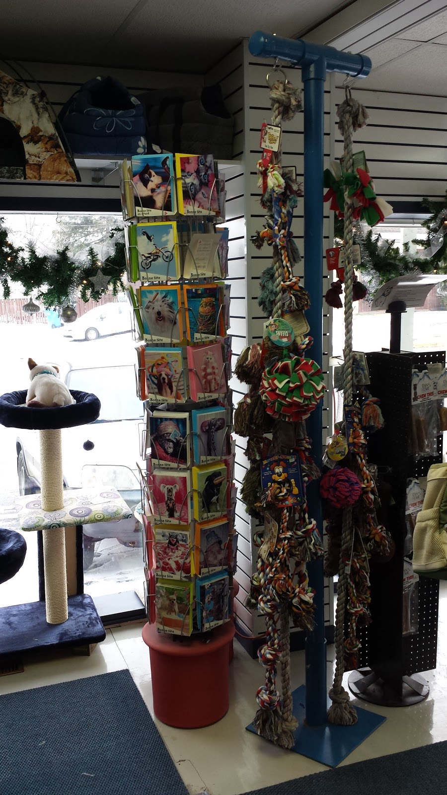Centre Animalier Parissa | 38 Grand Boulevard, LÎle-Perrot, QC J7V 4W1, Canada | Phone: (514) 453-1044