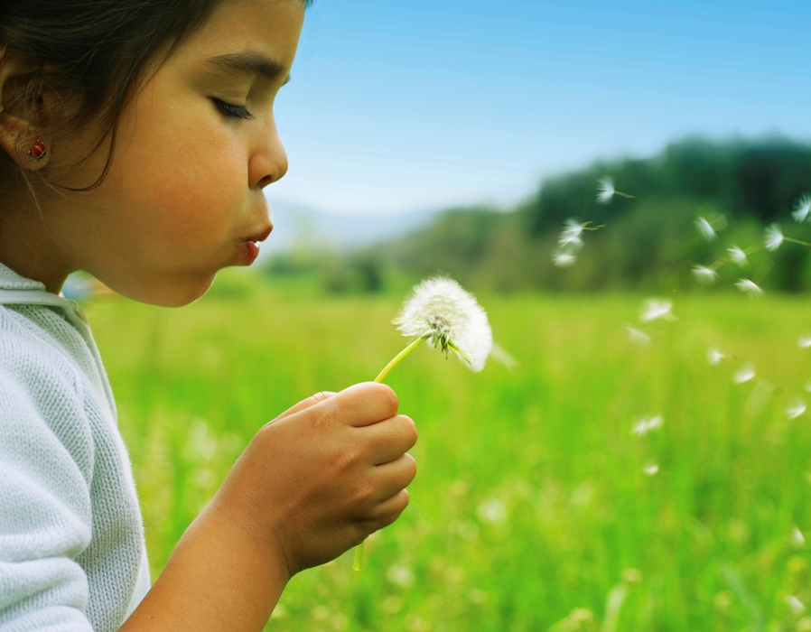 Anke Zimmermann, BSc, FCAH, Classical and Modern Homeopathy | 6550 Throup Rd, Sooke, BC V9Z 0W6, Canada | Phone: (778) 352-0806