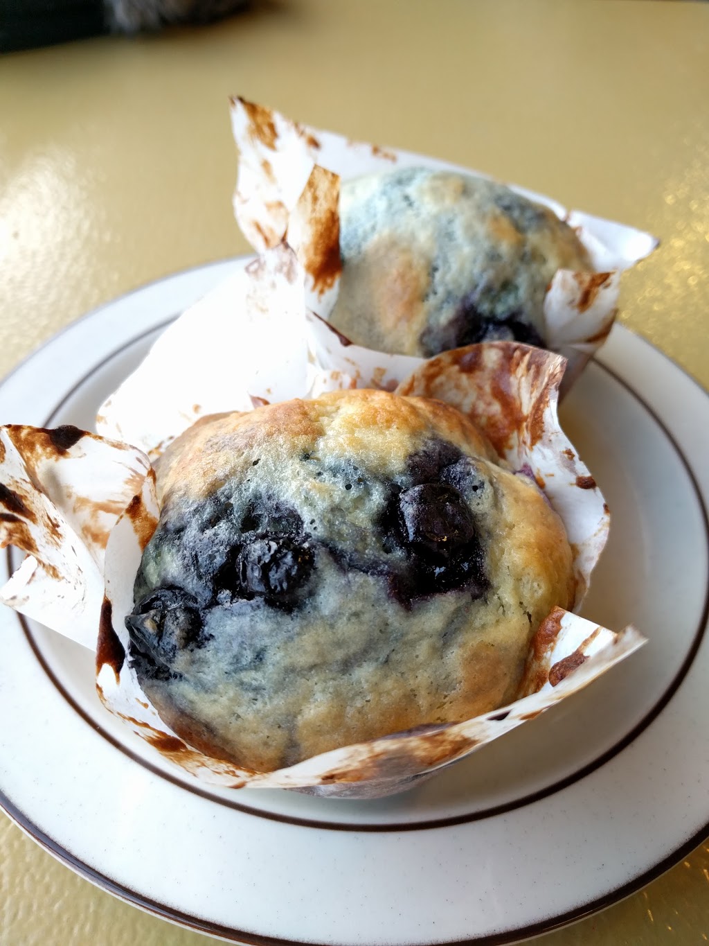 Francescos | 3413 26 Ave SW, Calgary, AB T3E 0N3, Canada | Phone: (403) 249-1151