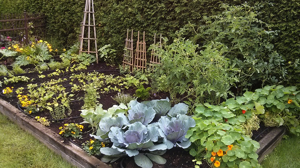 San Son Vert Inc. | 117 Chem. du Petit Chicot, Saint-Eustache, QC J7R 4K3, Canada | Phone: (514) 576-6501