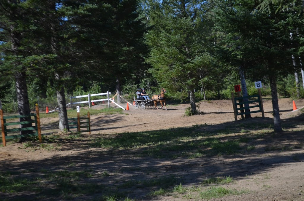 Attelage Performance Quebec | 2161 Chemin de Bélair, Québec, QC G3J 0A6, Canada | Phone: (418) 803-4220
