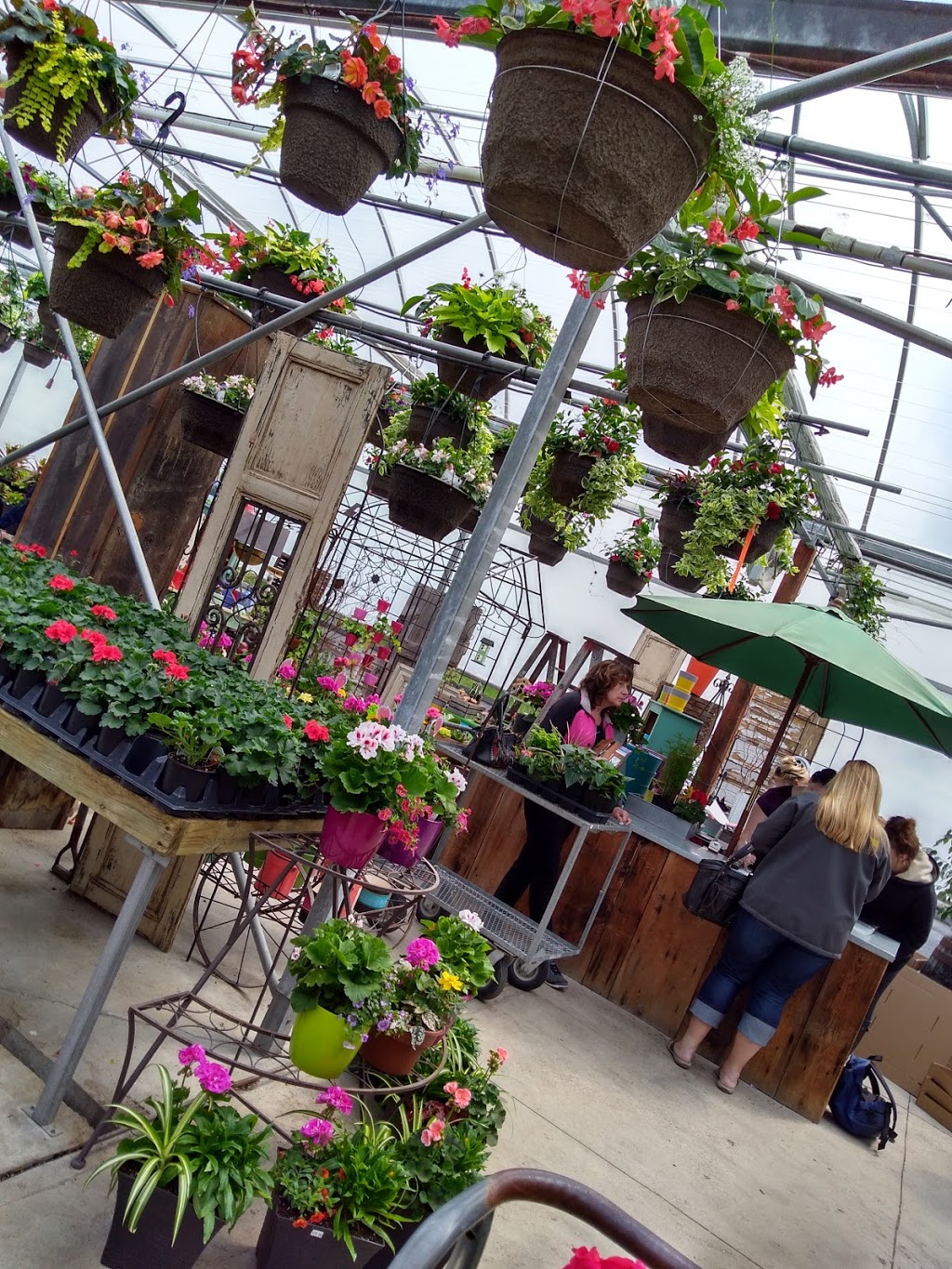 Greenhouse On The River | 4115 County Rd 32, Douro-Dummer, ON K0L 2H0, Canada | Phone: (705) 652-8154