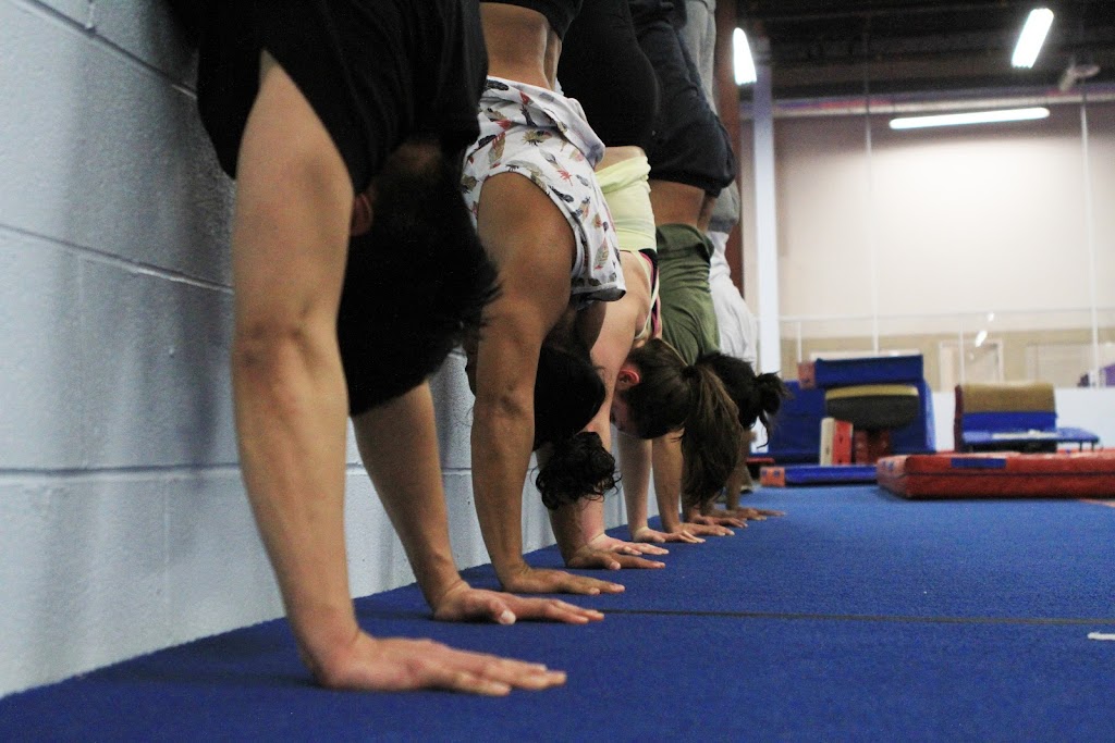 MWF Madness | 73 Samor Rd, North York, ON M6A 1J2, Canada | Phone: (416) 528-1162