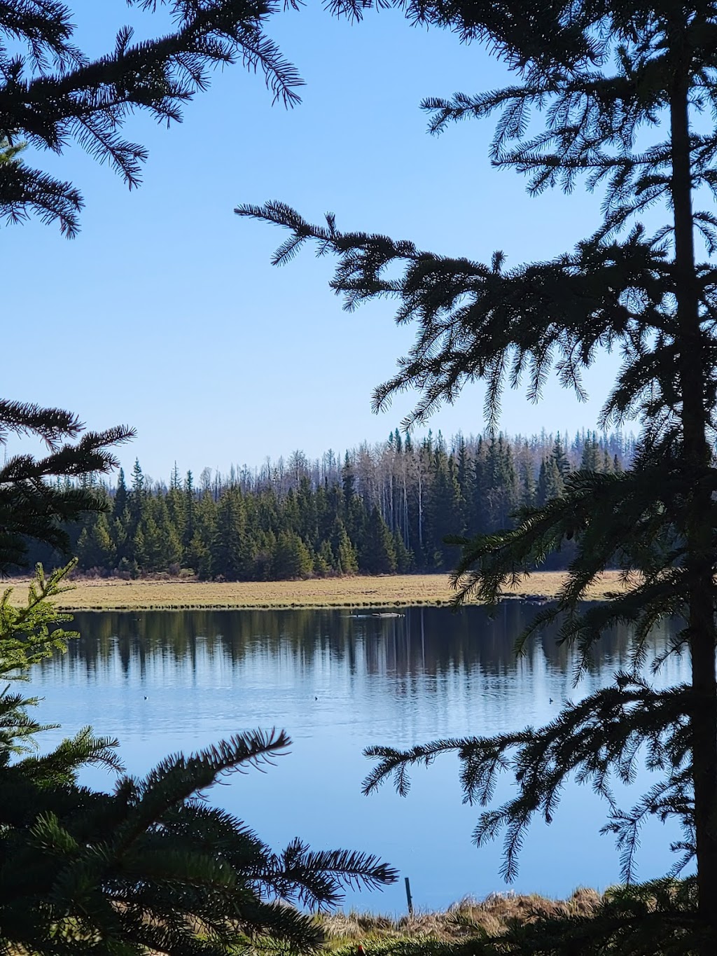 ORREN CREEK RANCH | Lone Butte, BC V0K 1X2, Canada | Phone: (360) 726-3788