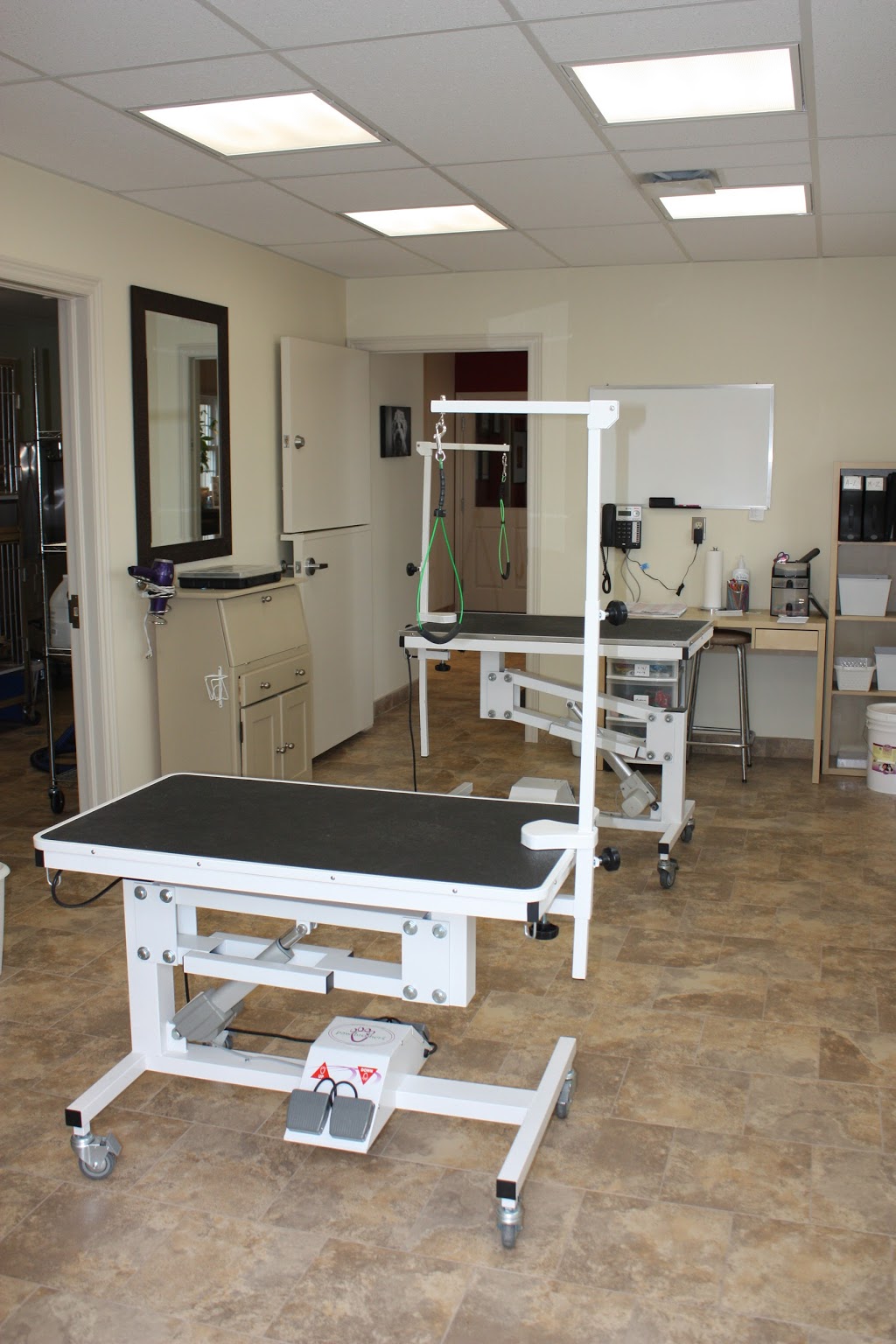 Laurelwood Veterinary Hospital | 515 Benjamin Rd, Waterloo, ON N2J 3Z4, Canada | Phone: (519) 699-0875