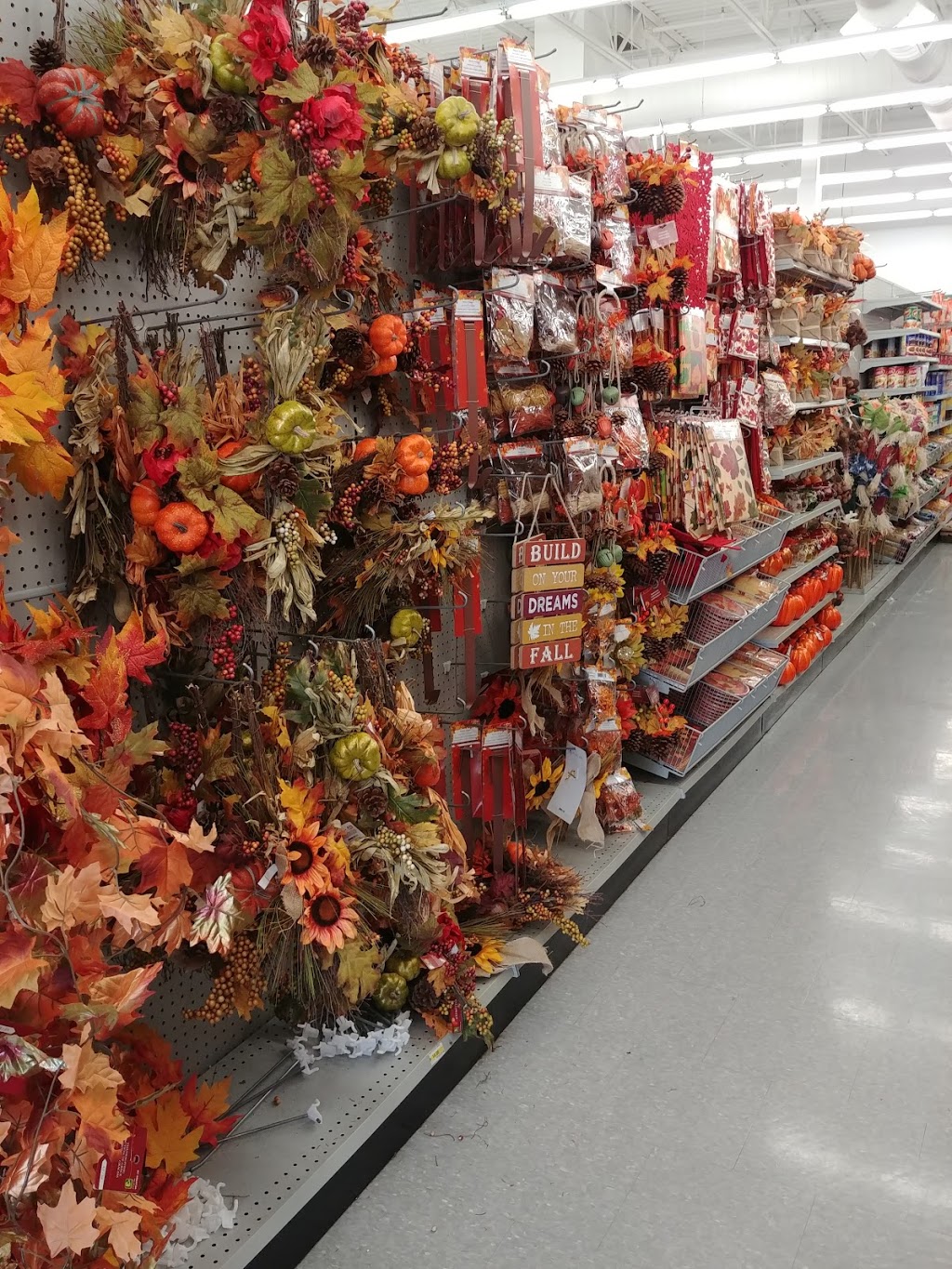 Dollarama | Shopping Centre, 1535 ON-7A, Port Perry, ON L9L 1B5, Canada | Phone: (905) 985-0404