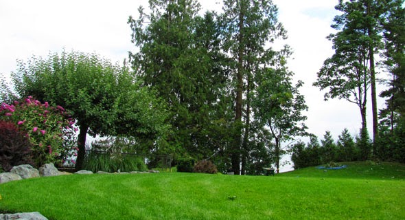 The Arborist | point of interest | 12874 96b Ave, Surrey, BC V3T 1A2, Canada | 6045845542 OR +1 604-584-5542