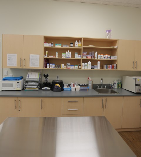 Steeles-Yonge Animal Hospital | 180 Steeles Ave W #15, Thornhill, ON L4J 2L1, Canada | Phone: (905) 597-8387